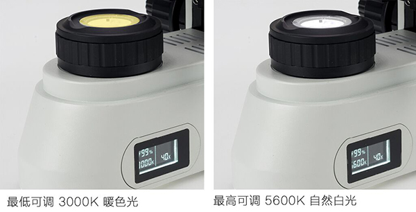 QQ图片20200717172247.jpg