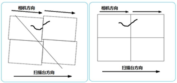 自动扫描