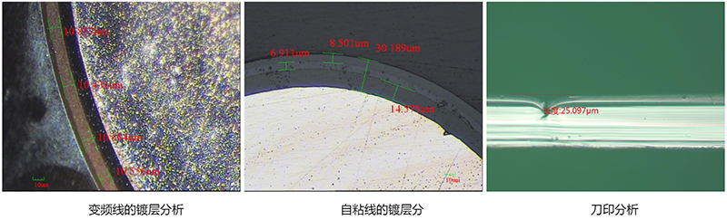 金相显微镜检测效果图