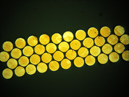 金相显微镜下的线束端子