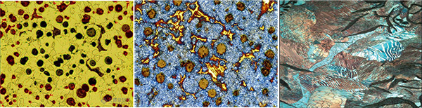 苏州金相显微镜应用之金相组织分析